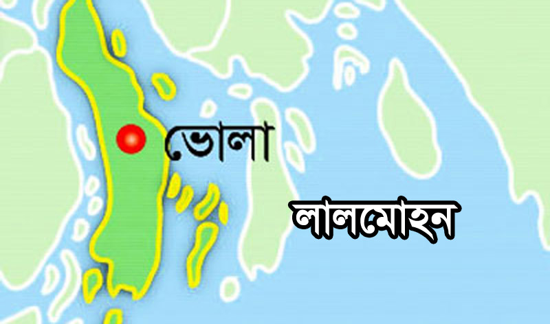 মেঘনা নদীর পানিতে ভাসছিল শিশু আরিফের নিথর দেহ