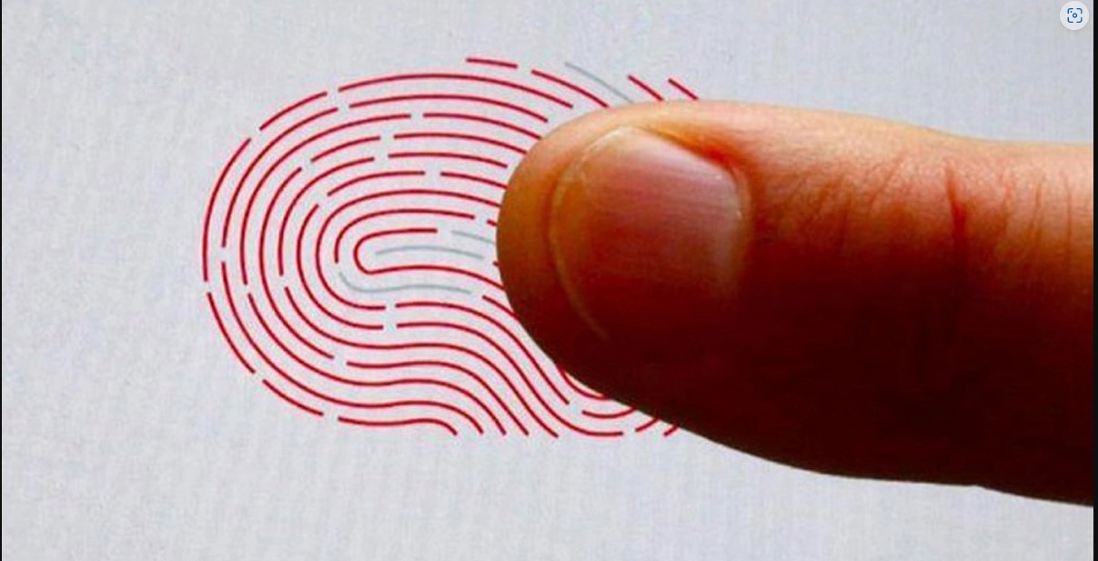 আগামী নির্বাচনে ভোট দিতে লাগবে ১০ আঙ্গুলের ছাপ