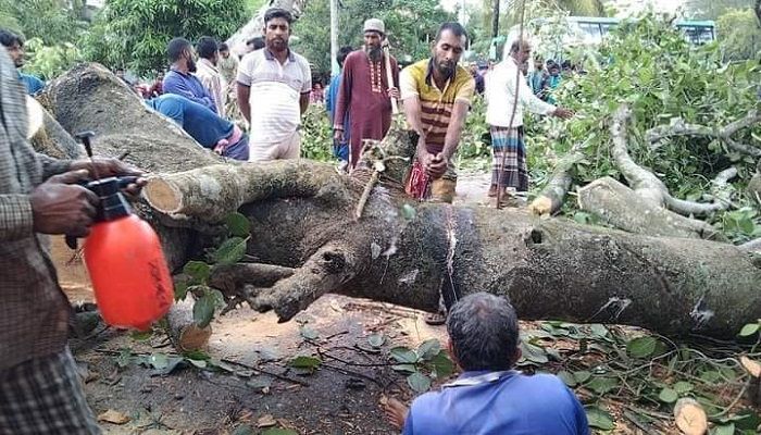 নড়াইলে ১৯ ঘন্টা পর যান চলাচল স্বাভাবিক