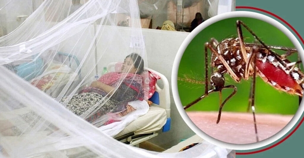বরিশালে বাড়ছে ডেঙ্গু আক্রান্তের সংখ্যা