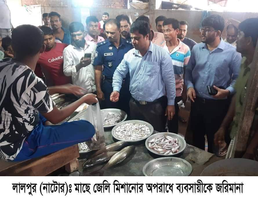 লালপুরে মাছে জেলি মিশানোর অপরাধে ব্যবসায়ীকে জরিমানা