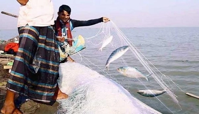 ইলিশ আহরণ নিষিদ্ধ হচ্ছে মধ্যরাতে