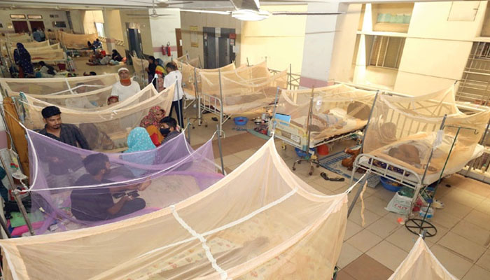 ডেঙ্গু: অক্টোবরে মৃত্যু ৮৬, হাসপাতালে ভর্তি প্রায় ২২ হাজার
