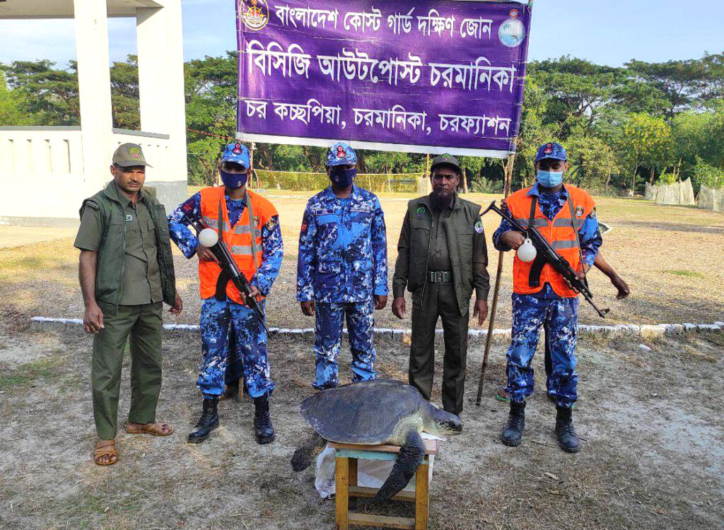 চরফ্যাশনে বিরল প্রজাতির কচ্ছপ উদ্ধার