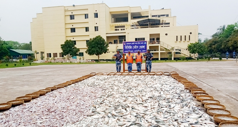 ভোলায় কোস্টগার্ডের অভিযানে ১২৬ মণ ইলিশ-চিংড়ি উদ্ধার