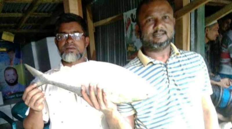 একটি ইলিশ বিক্রি হলো সাড়ে ৪ হাজার টাকায়