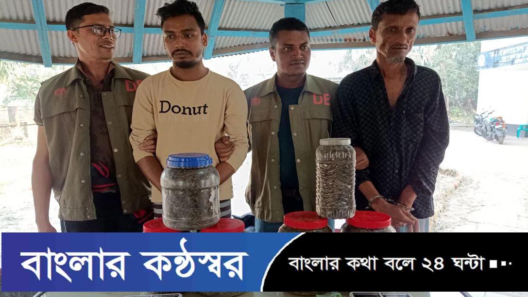 বরগুনায় ৩ কেজি গাঁজাসহ বাবা-ছেলে গ্রেপ্তার