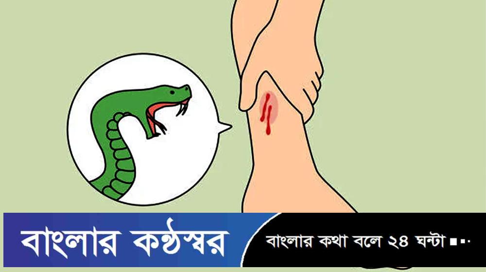 ১০ দিনে সাপের কামড়ে আহত ১১২