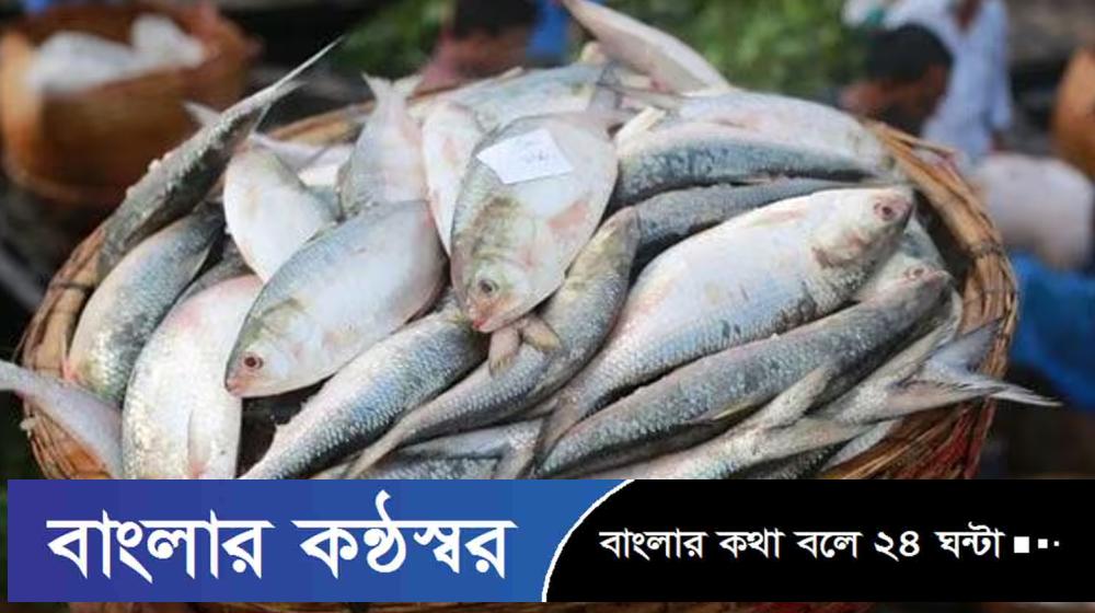 ইলিশ পাঠাতে বাংলাদেশের কাছে আবদার করল ভারত