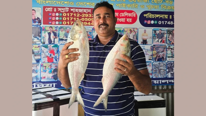 পদ্মা নদীর দুই ইলিশ ১৬ হাজারে বিক্রি