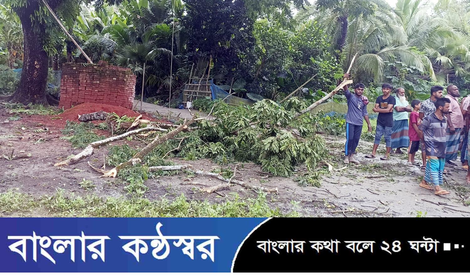 বাগেরহাটে মাদ্রাসা শিক্ষকের জমি দখল চেষ্টা, গাছ কর্তন করে হামলা