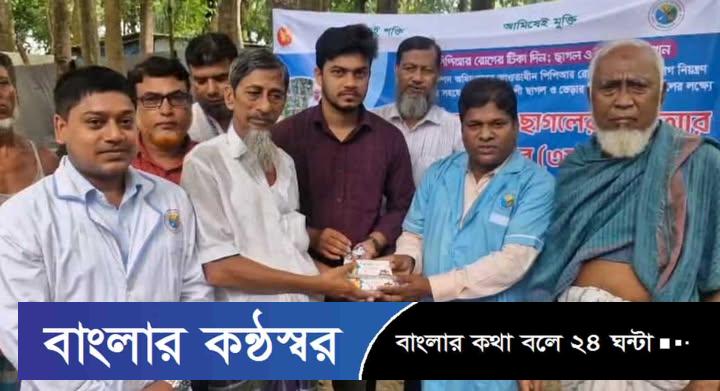 গৌরনদীতে বিনামূল্যে ছাগল-ভেড়ার পিপিআর রোগের টিকা প্রদান কর্মসুচির উদ্ধোধন
