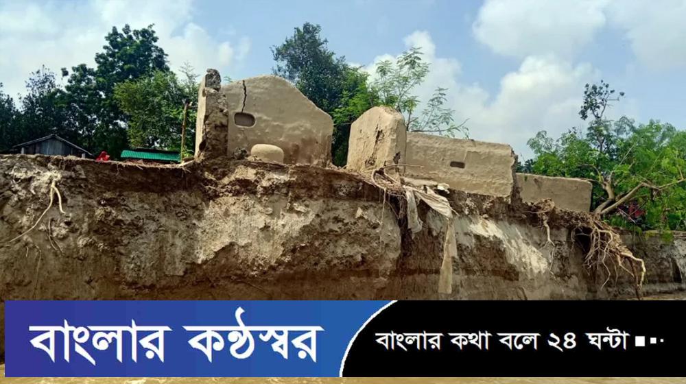 পদ্মার ভাঙনে ১৬০ পরিবার নিঃস্ব