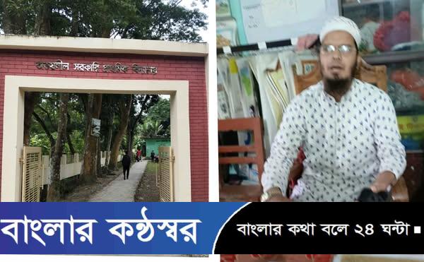 নলছিটিতে একই স্কুলের সহকারী শিক্ষক দ্বারা প্রতারণার শিকার দপ্তরি