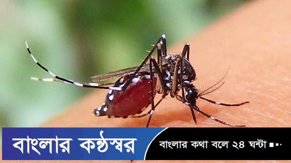 ডেঙ্গুতে আরও ৫ মৃত্যু