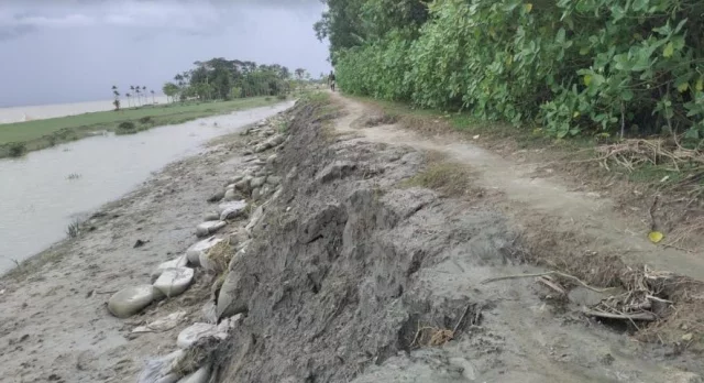 তজুমদ্দিনে বেড়িবাঁধ নির্মাণ প্রকল্পে ক্ষতিগ্রস্তদের পূর্নবাসনের দাবীতে মানববন্ধন