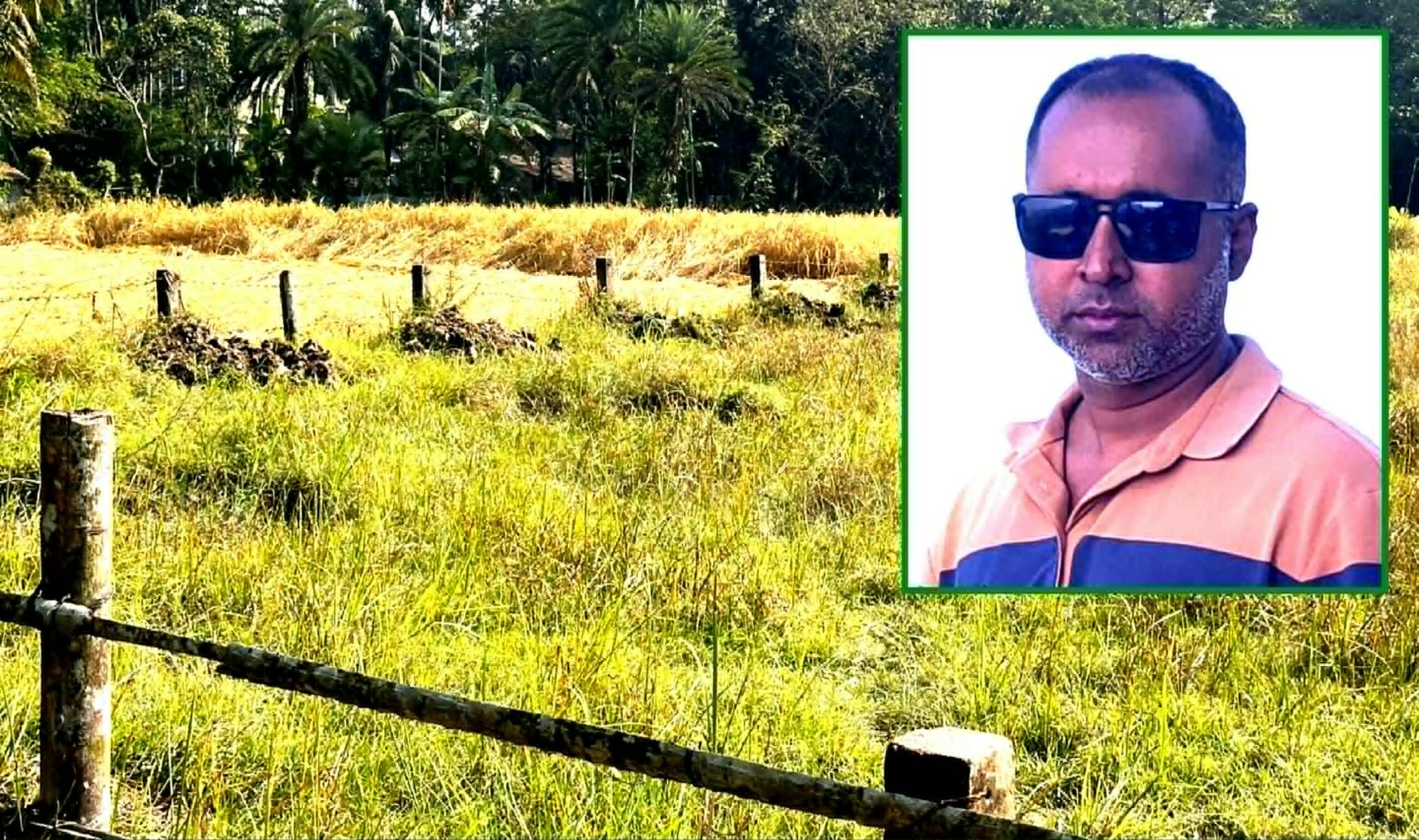নলছিটিতে বনায়ন প্রকল্পে হামলা-গাছ কাটার অভিযোগ আ’লীগ নেতার বিরুদ্ধে