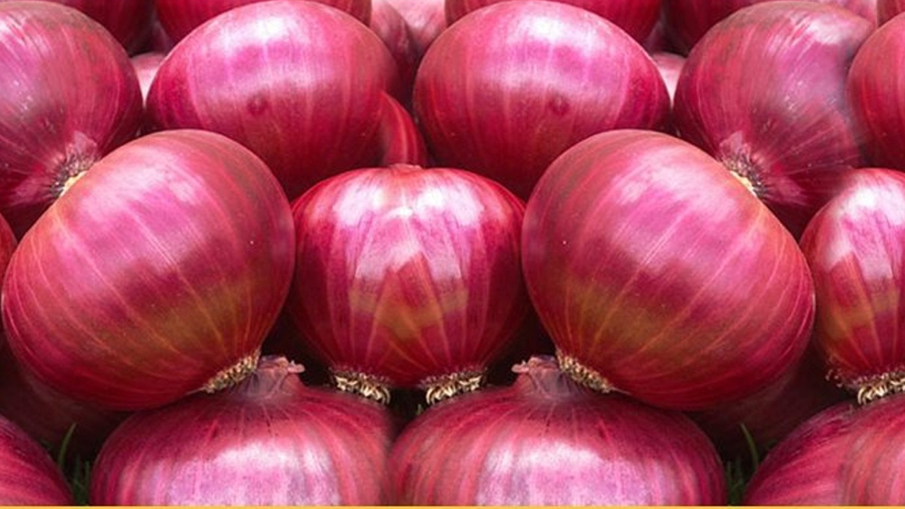 কমছে না পেঁয়াজের দাম