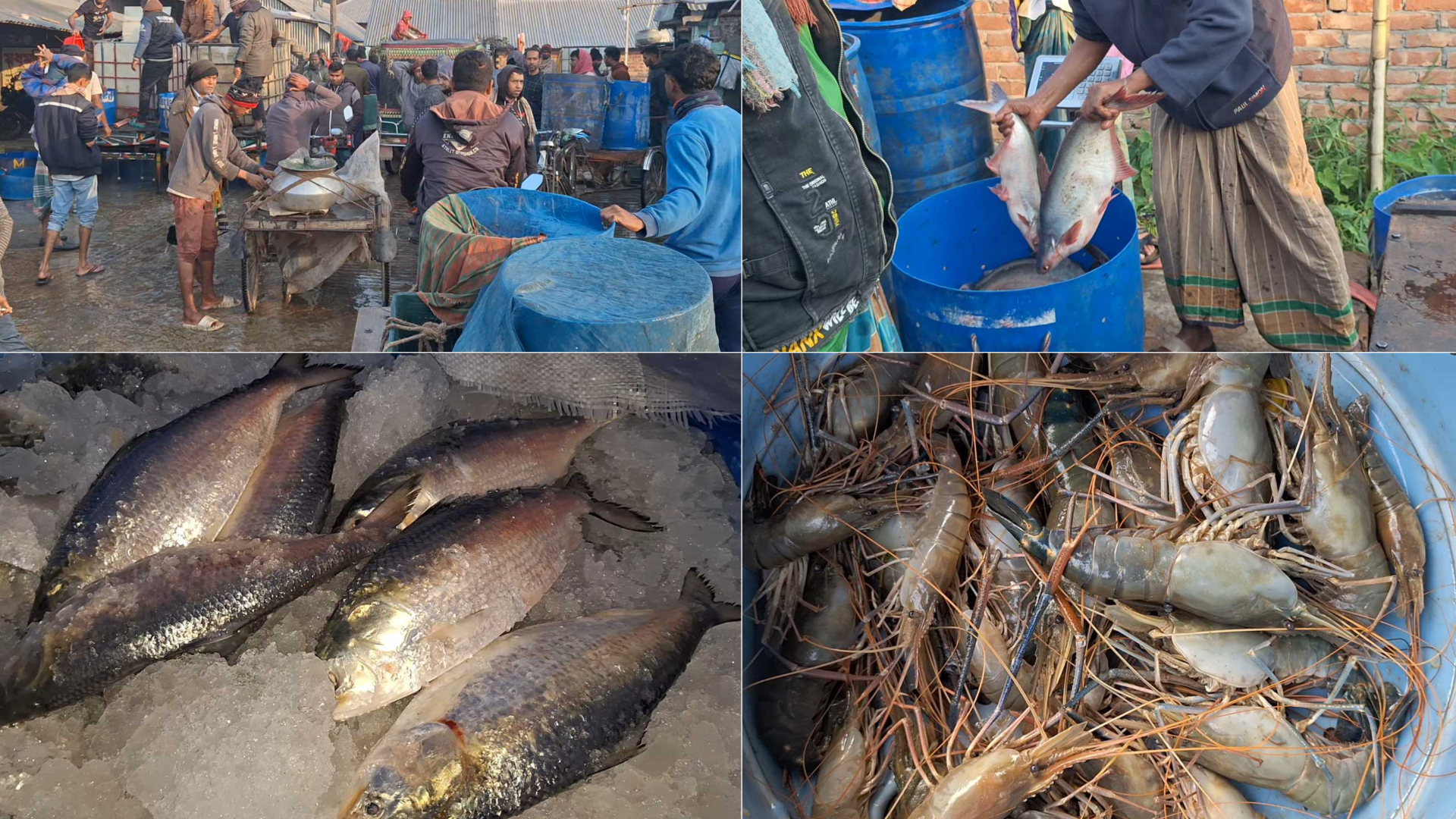 মাছের সরবরাহ বেশি থাকলেও দাম ঊর্ধ্বমুখী