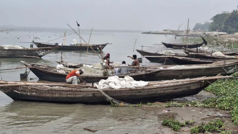পদ্মা-মেঘনায় দুই মাস মাছ ধরা বন্ধ