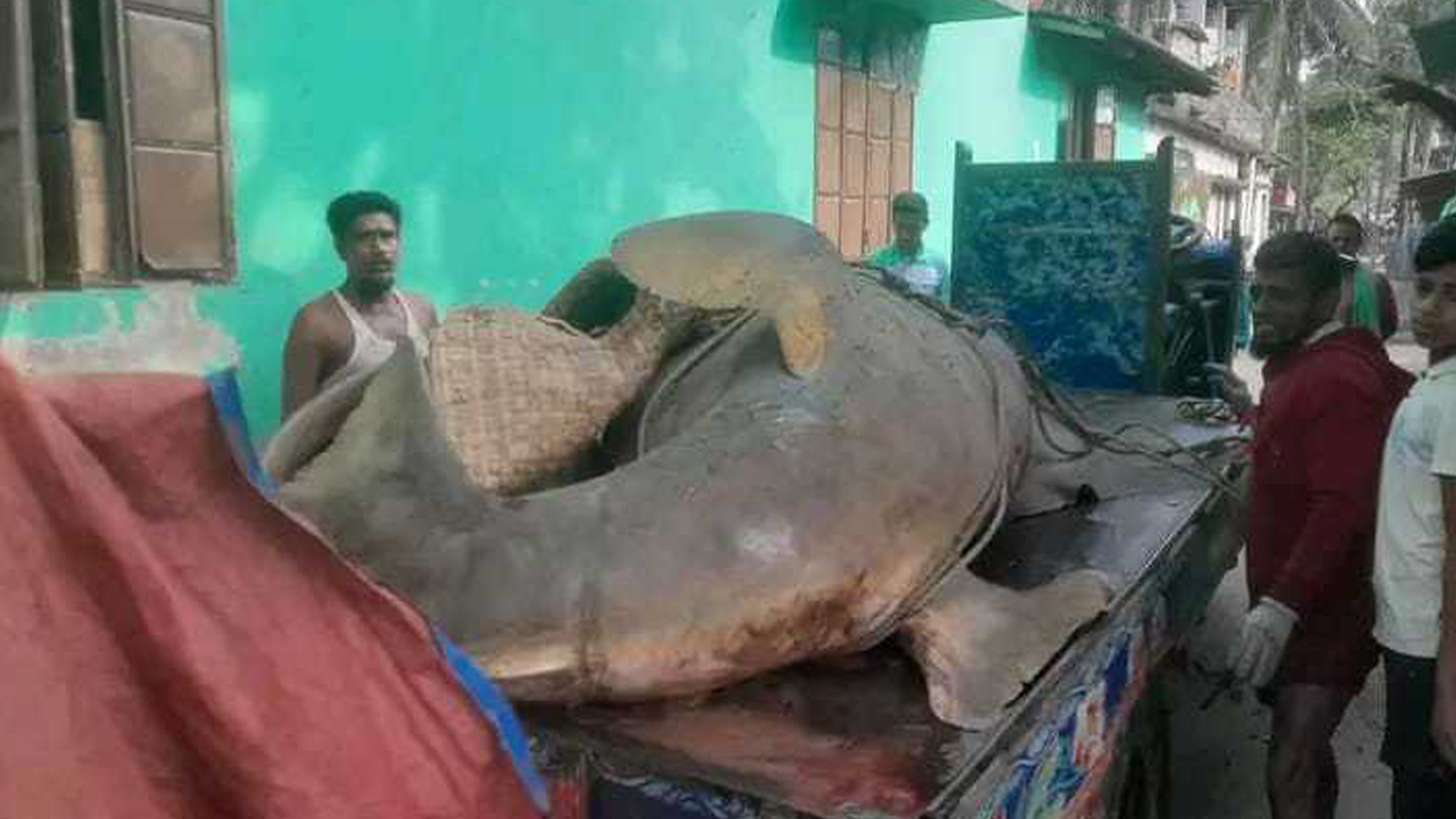 জেলের জালে ধরা পড়ল দানবাকৃতির ‘খটক মাছ’