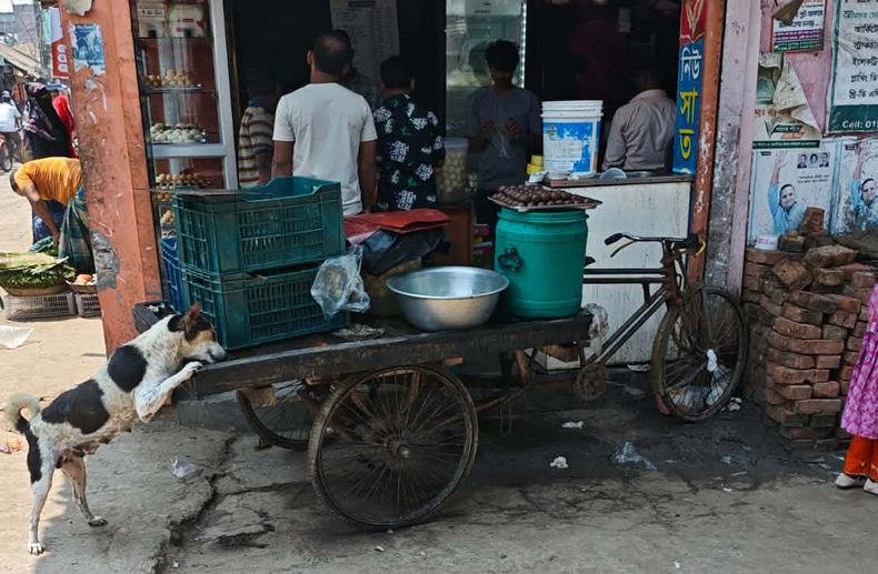 মিষ্টির নামে বিষ খাচ্ছি না তো আমরা?