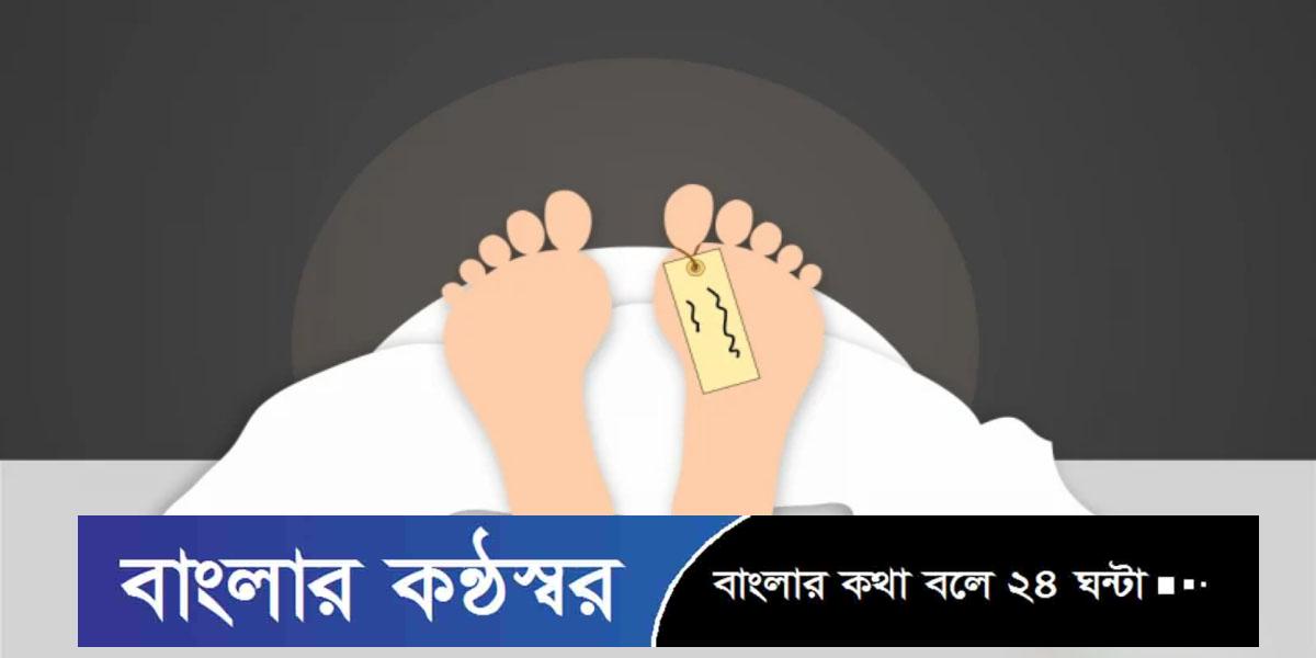 বাগেরহাটে ব্যাটারিচালিত ভ্যানের নিচে পড়ে প্রাণ গেল শিশুর