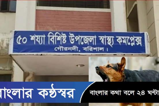 একইদিনে পাগলা কুকুরের কামরে ১৪ জন আহত