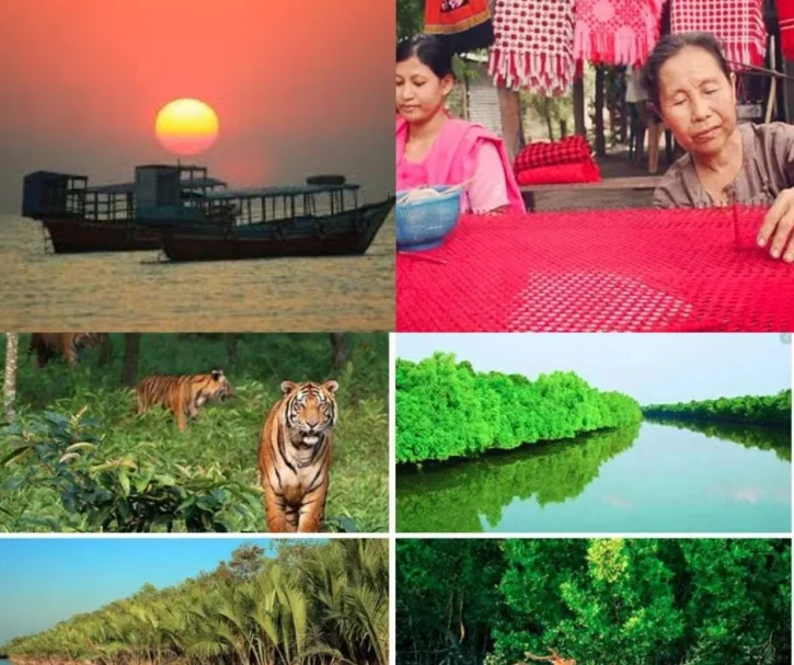 কুয়াকাটা থেকে সুন্দরবন: দেশের বৃহত্তম পর্যটন বলয়