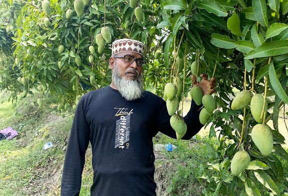আত্মকর্মসংস্থানের স্বপ্ন থেকে সফলতার গল্প