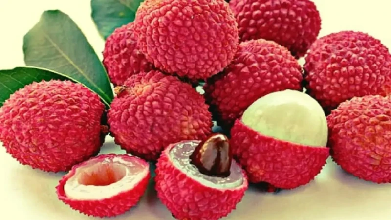 গলায় লিচুর বিচি আটকে প্রাণ গেল শিশুর