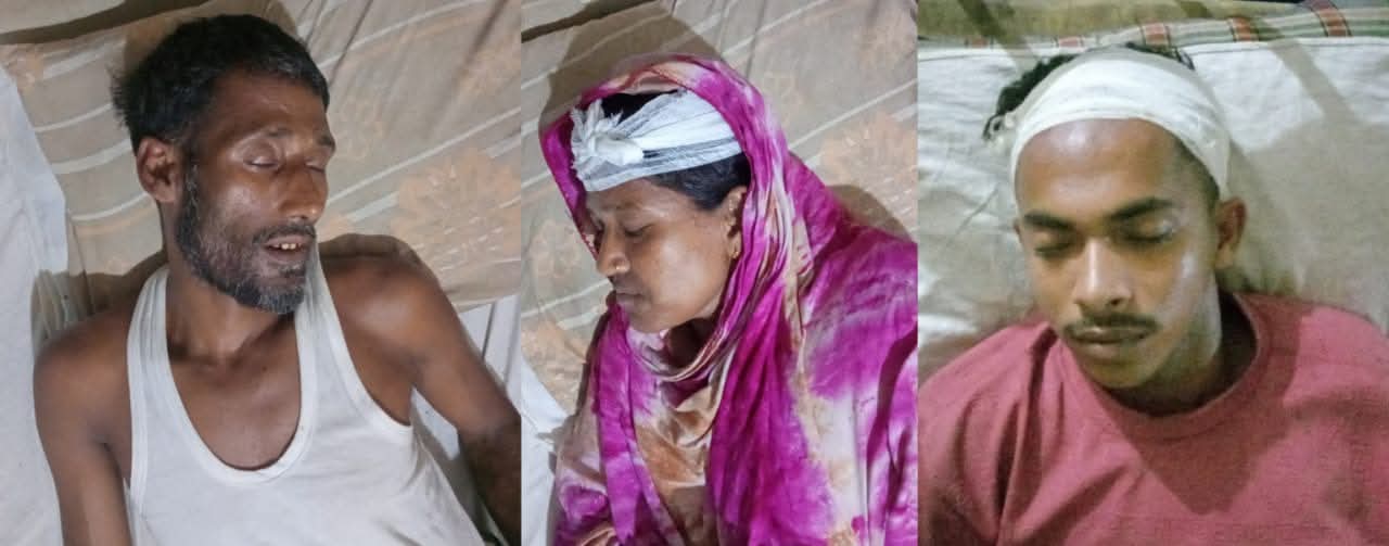 দুই মুক্তিযোদ্ধা পরিবারের ওপর তিন দফায় হামলা, অন্তঃস্বত্ত্বা নারীসহ ১১ জন আহত
