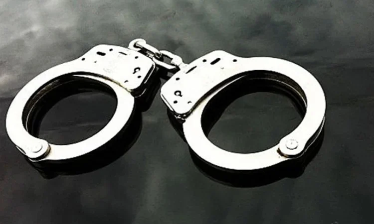 নগ্ন ভিডিও ধারণ করে পর্নোগ্রাফি, স্বামী-স্ত্রী গ্রেপ্তার