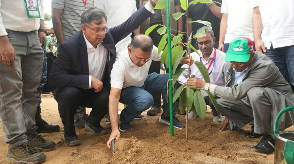 সন্তানের ভবিষ্যৎ চিন্তা করে একটি করে গাছ লাগান: প্রধানমন্ত্রী