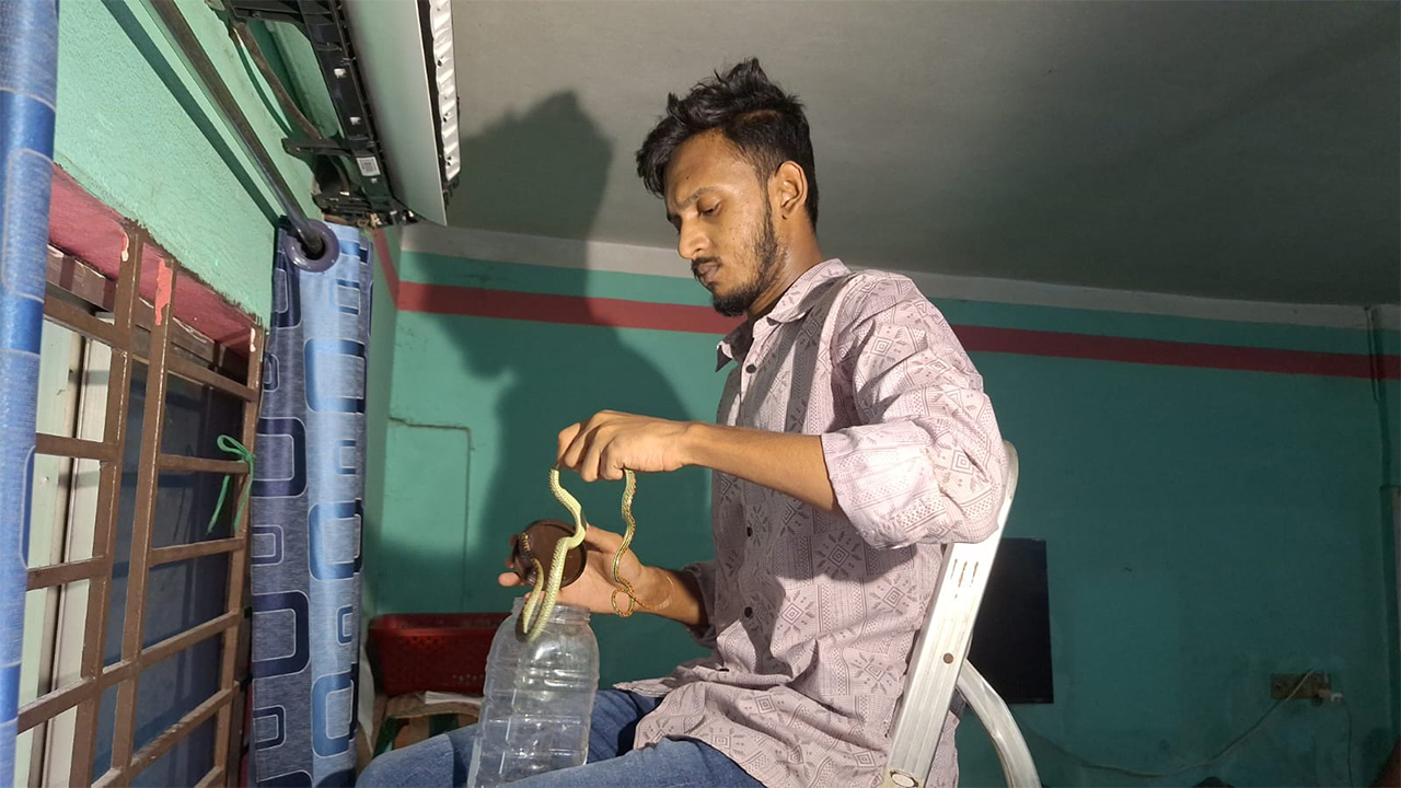 ঘরে এসির ভেতরে মিলল চারটি কালনাগিনী