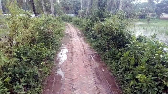 গৌরনদীর ইট সলিংয়ের রাস্তাটি এখন মরণ ফাঁদে পরিনত, দেখার যেন কেউ নেই