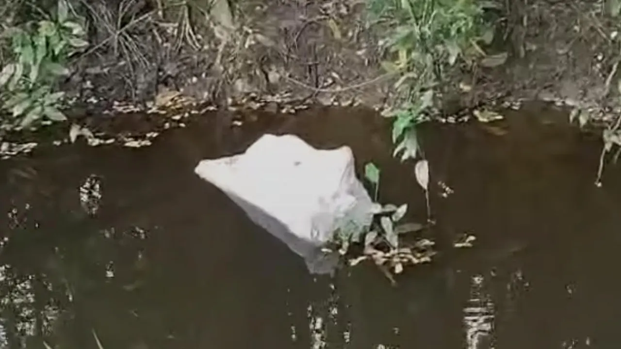 খালে বস্তা দেখে ‘লাশ’ আতঙ্ক, খুলে মিলল মৃত কুকুর