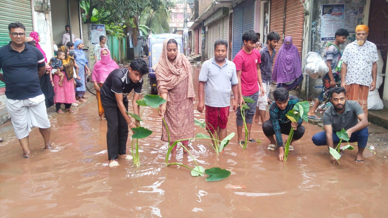 সড়কে হাঁটুপানি, কচুগাছ লাগিয়ে প্রতিবাদ স্থানীয়দের
