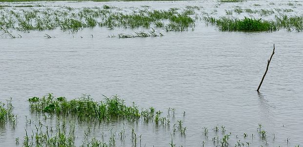 জোয়ার-বর্ষণে বিপর্যস্ত দক্ষিণাঞ্চল