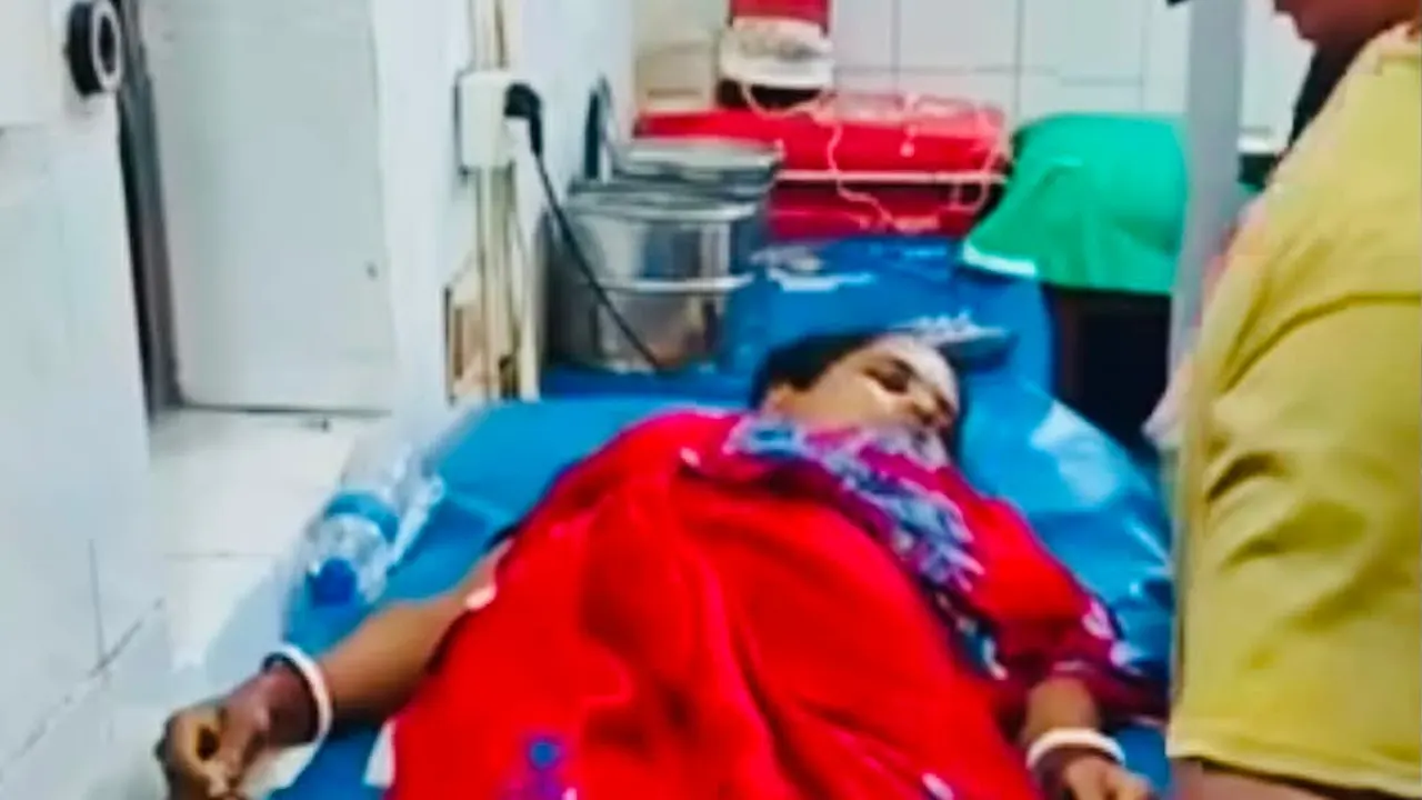 বরিশালে সাপের কামড়ে প্রাণ গেল গৃহবধূর