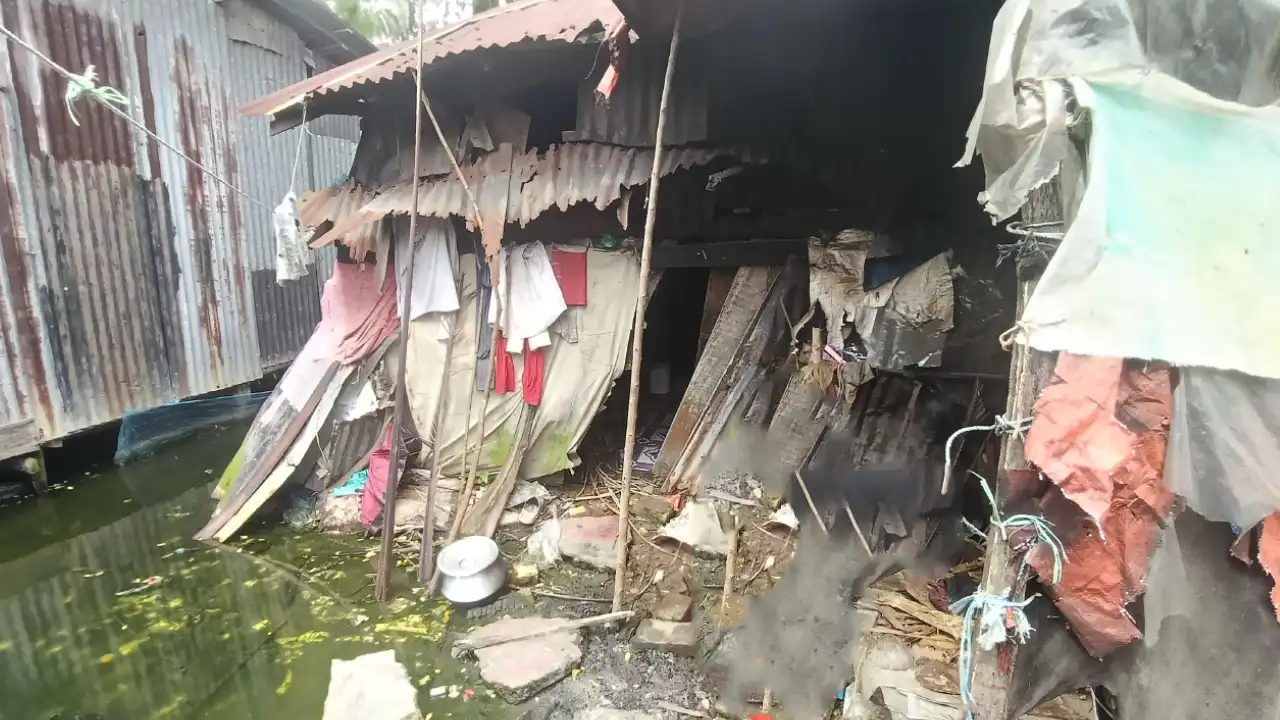 ১৫ বছর ধরে কুটিরের অন্ধকারে লুকিয়ে রহস্যময়ী নারী