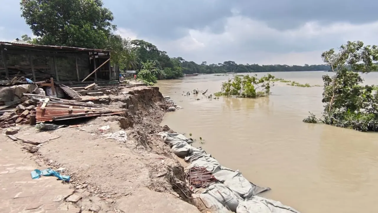 বাজার-ভিটা গিলে খাচ্ছে মধুমতী, স্থায়ী বাঁধ চান এলাকাবাসী