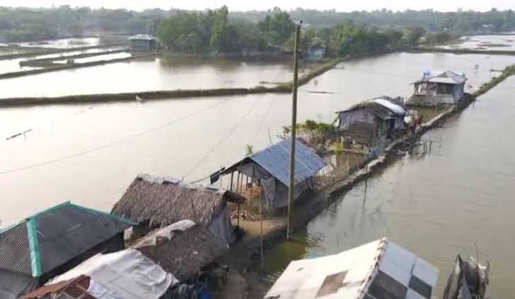দক্ষিণ-পশ্চিমাঞ্চলে লবণাক্ততার বিষে বদলে যাচ্ছে উপকূলের জীবন