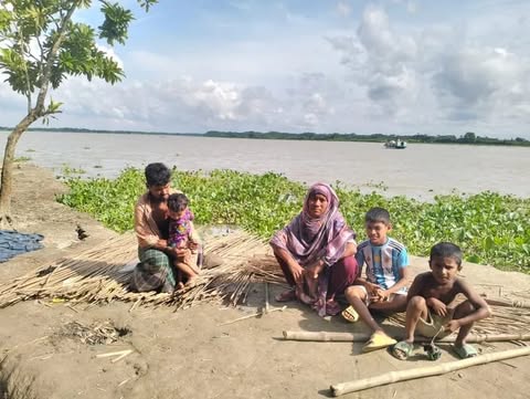আড়িয়াল খাঁর ভাঙনে বসতভিটা হারিয়ে নিঃস্ব বদরুলের পরিবার, ঠিকানা পলিথিনের ছাউনি