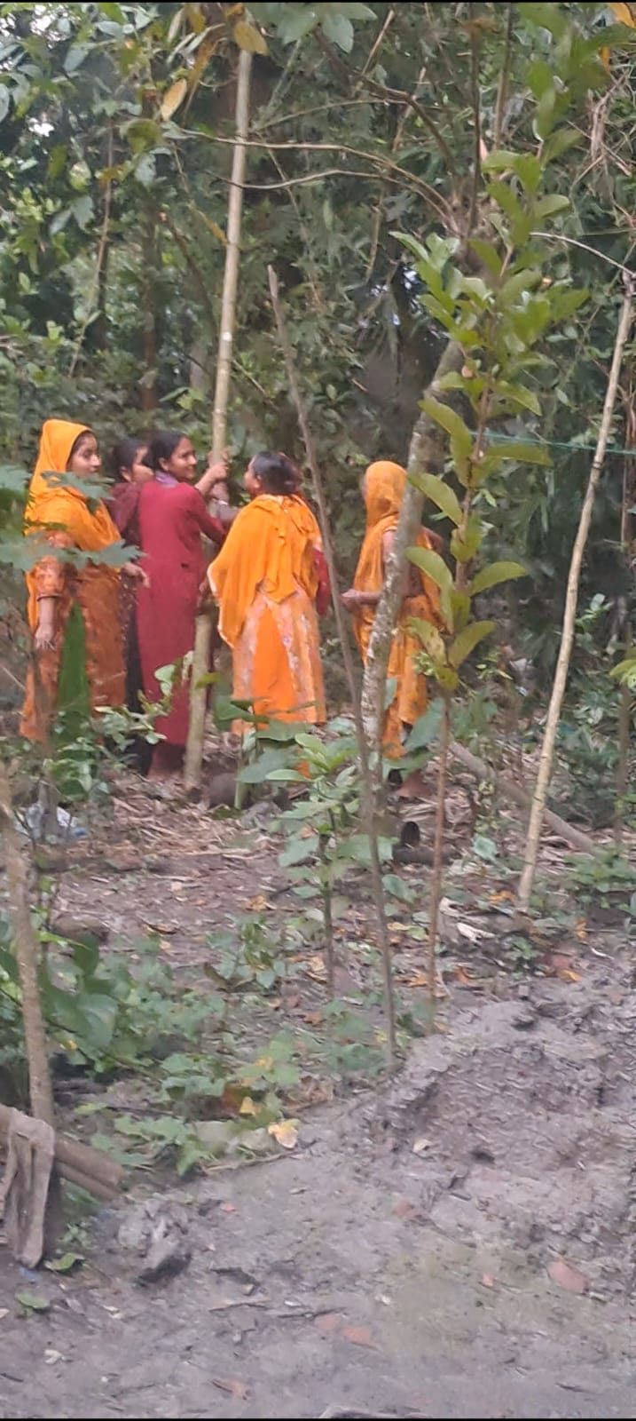 উজিরপুরে জমি নিয়ে বিরোধ, গাছ কাটার অভিযোগে থানায় লিখিত অভিযোগ