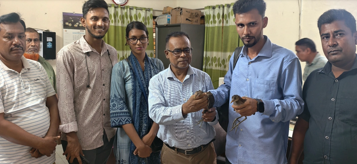 ফেসবুকে পাখি বিক্রি, বরিশালে ১৯ কালিম-জলময়ূর উদ্ধার