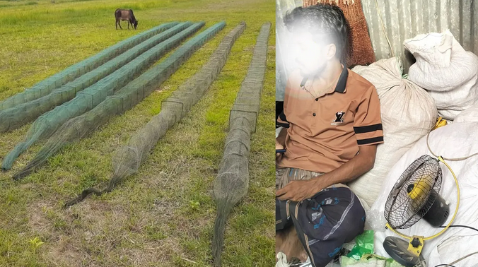 নিষিদ্ধ চায়না দুয়ারী জালে জীববৈচিত্র্য হুমকিতে
