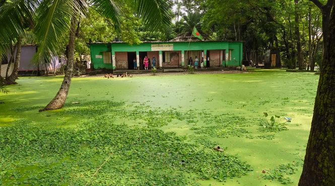 বর্ষায় পানির নিচে থাকে বিদ্যালয়ের মাঠ, ভোগান্তিতে শিক্ষক-শিক্ষার্থীরা