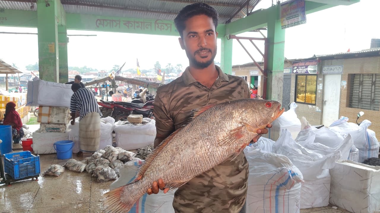 জেলের জালে আট কেজির কালো দাতিনা, ৪০ হাজারে বিক্রি