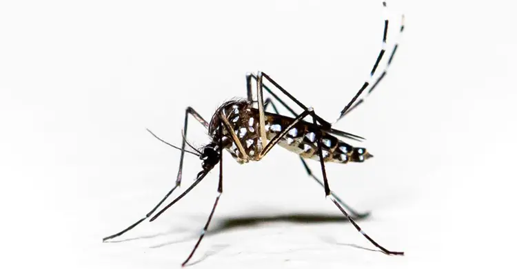 ডেঙ্গুতে বরগুনার এমপির শাশুড়ি মারা গেছেন